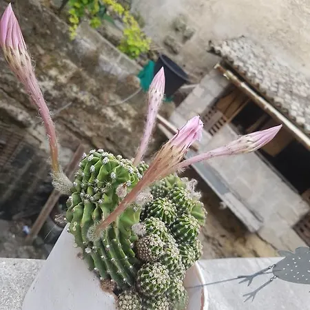 La Bomboniera בית נופש *