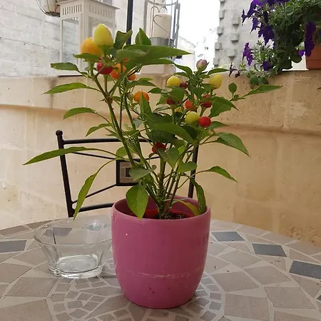 La Bomboniera Semesterbostad Matera