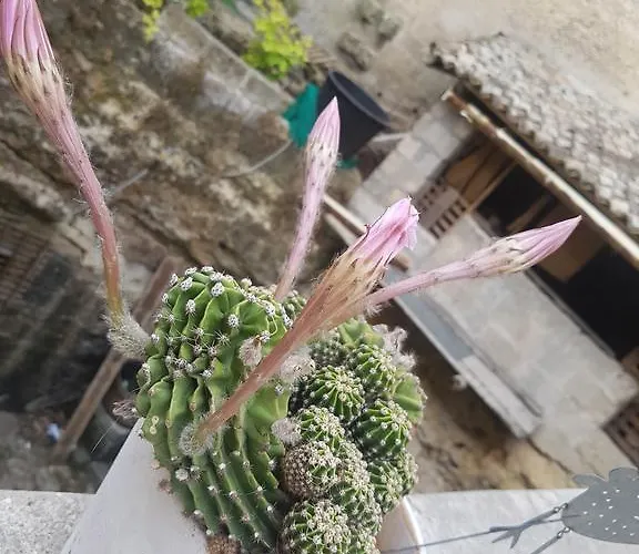 La Bomboniera Casa de Férias *