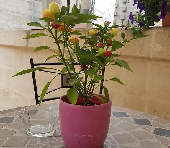 La Bomboniera Casa de Férias Matera
